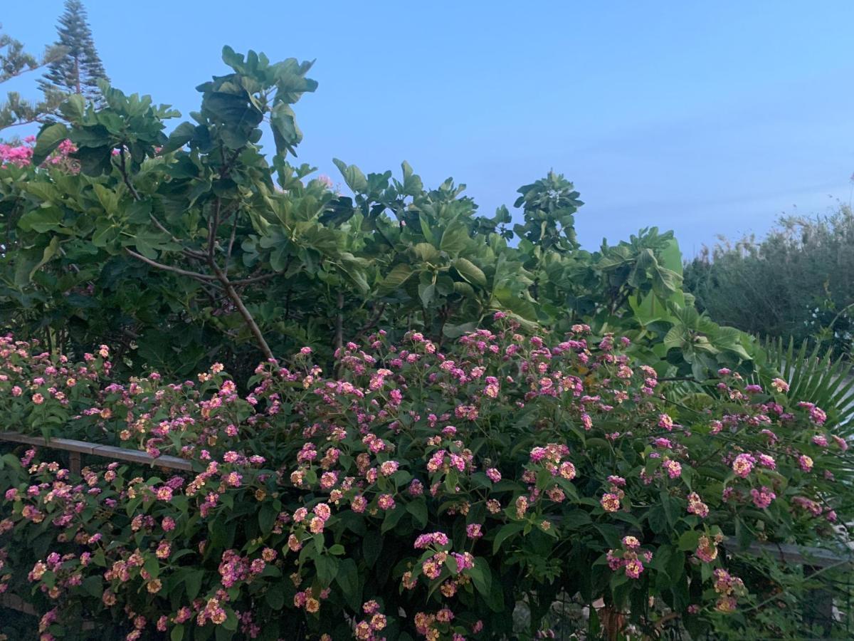 Villa Morgana Menfi Bagian luar foto